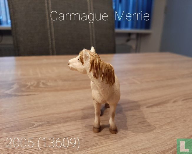 Camargue Mare