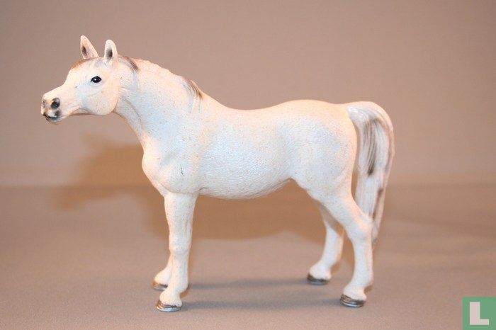 Arabian Mare