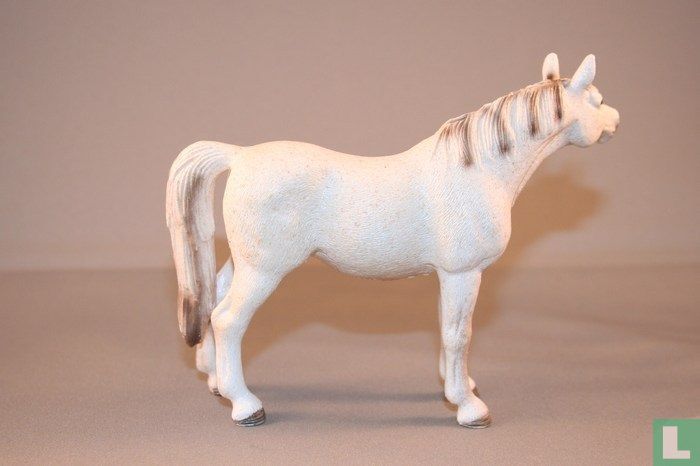Arabian Mare