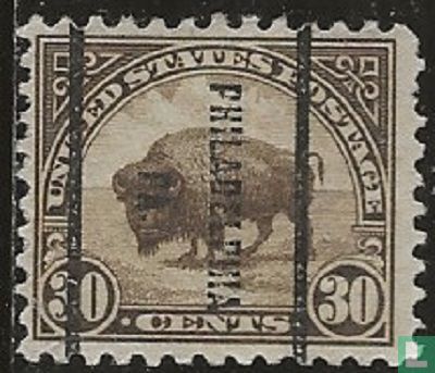 Bison d'Amérique