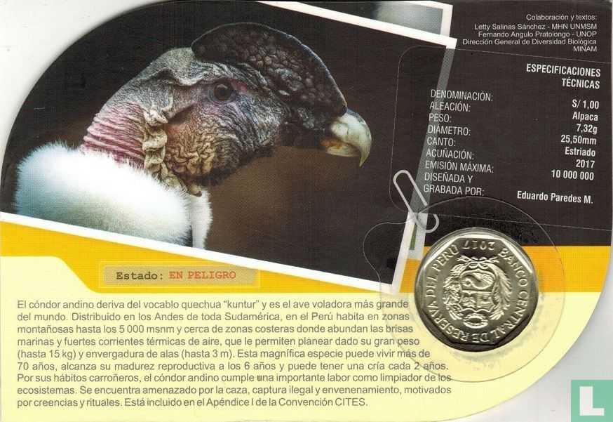 Pérou 1 sol 2017 (folder) "Andean condor"