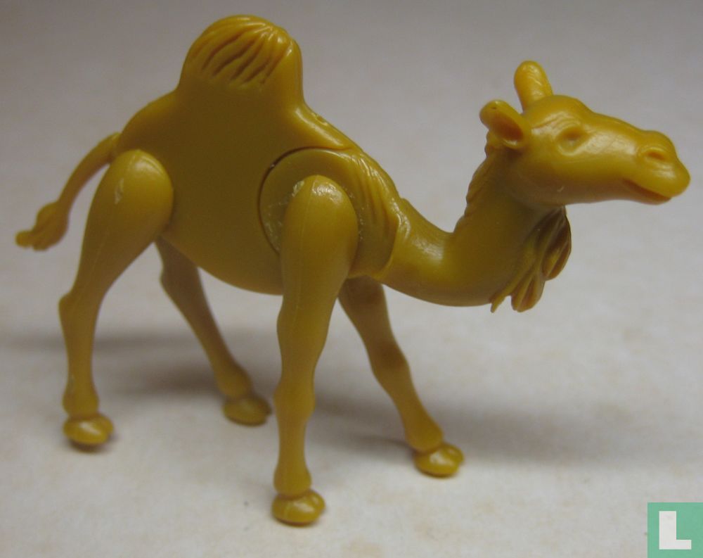 Dromedar