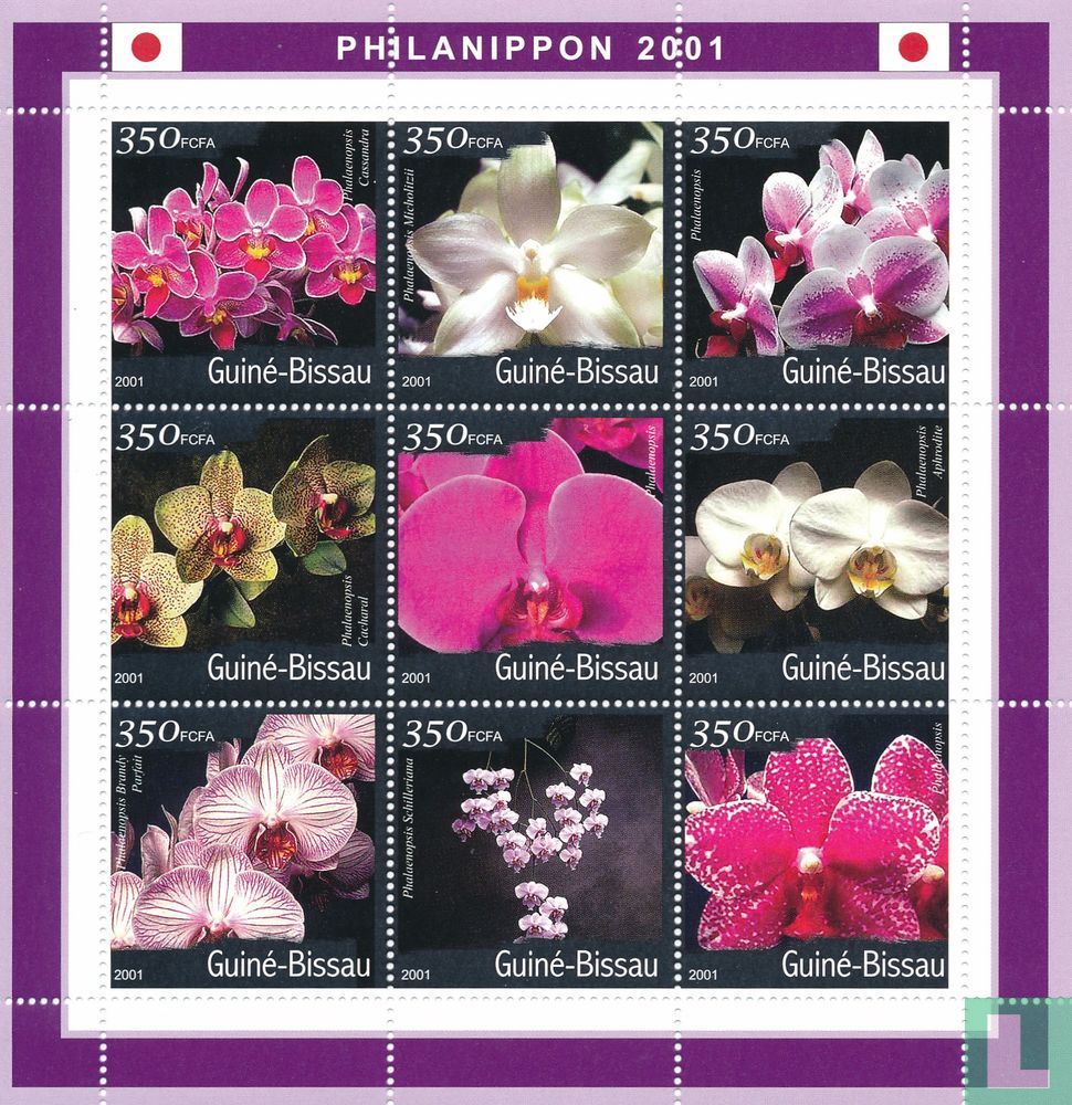 Orchids