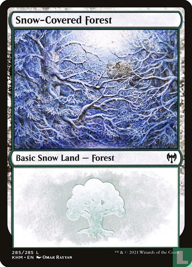 Snow-Covered Forest