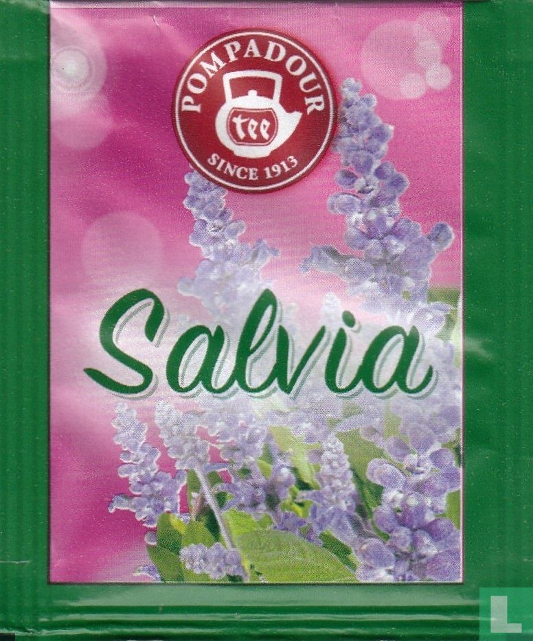 Salvia 