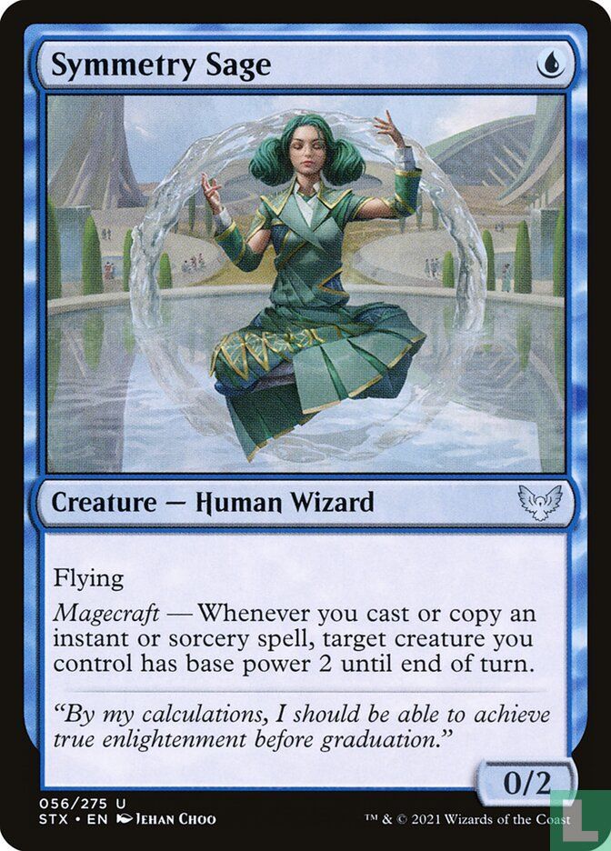 Symmetry Sage