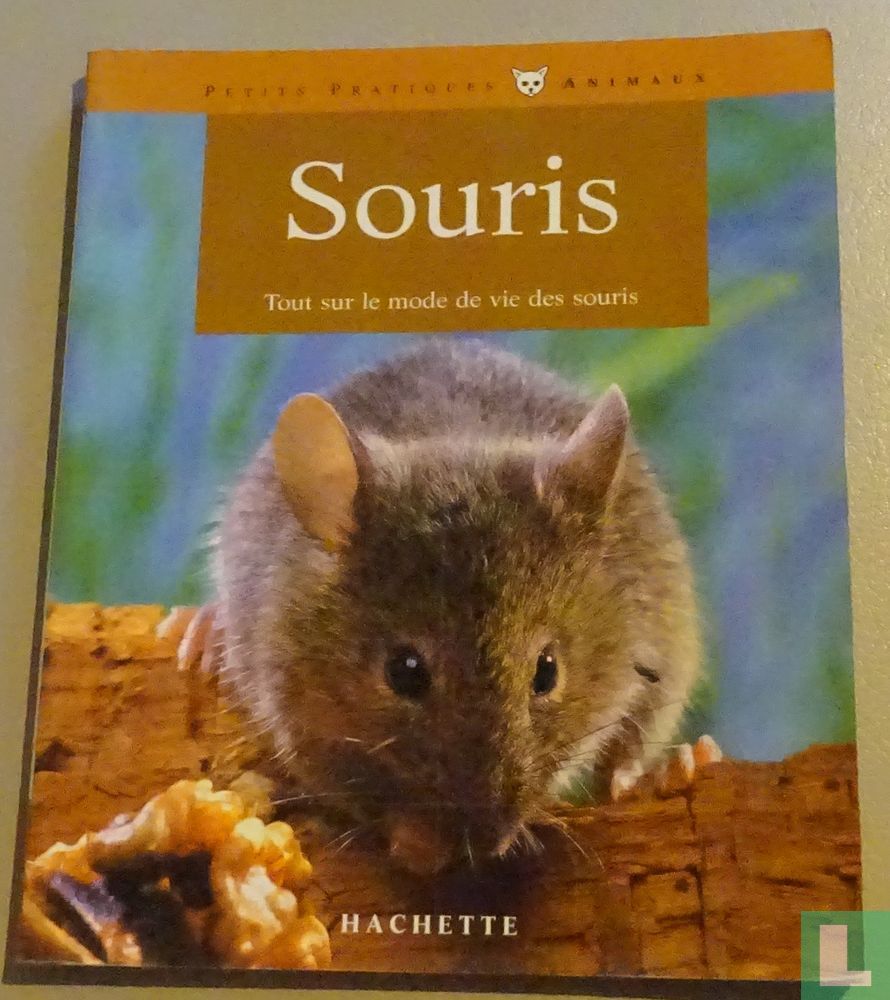 Souris