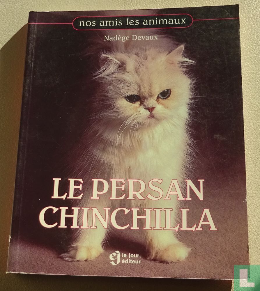 Le Persan Chinchilla