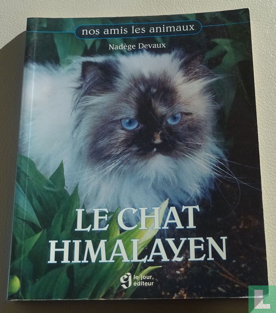 Le chat Himalayen