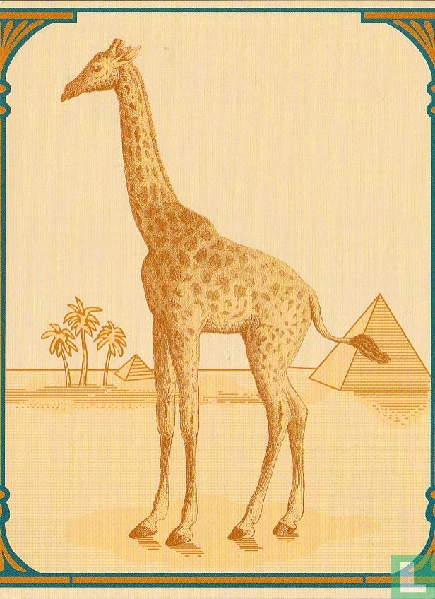 01206 - Camel