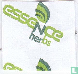 Anise