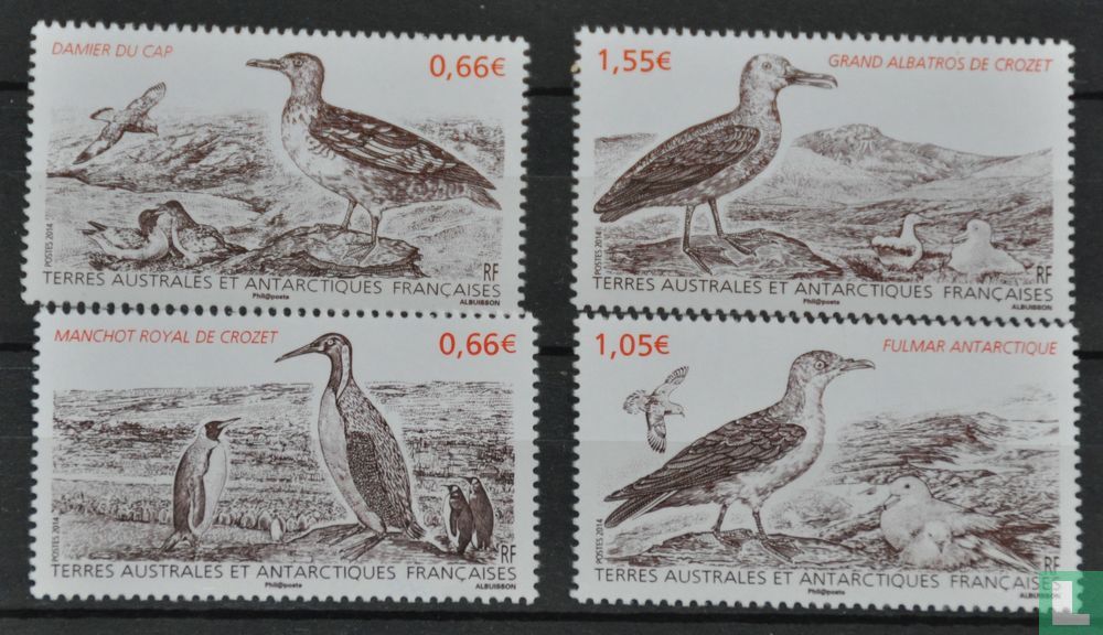 Seabirds