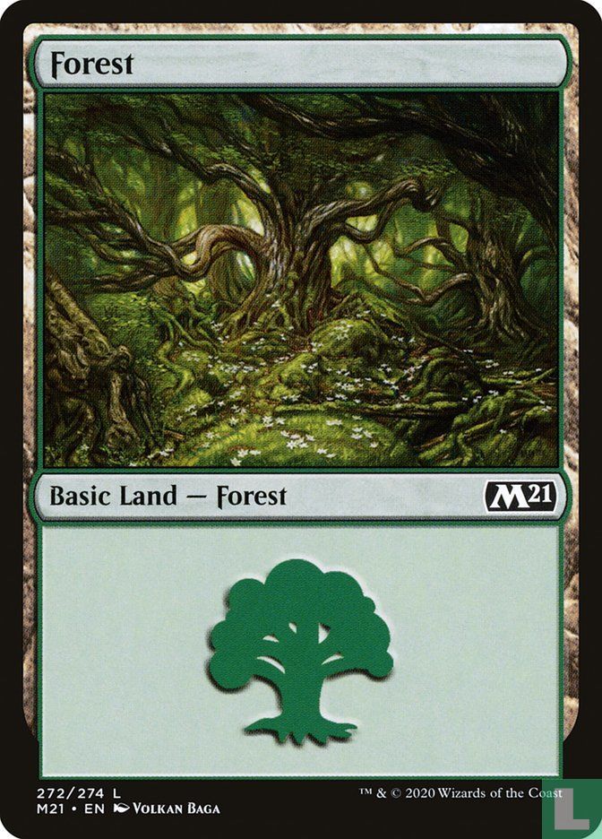 Forest
