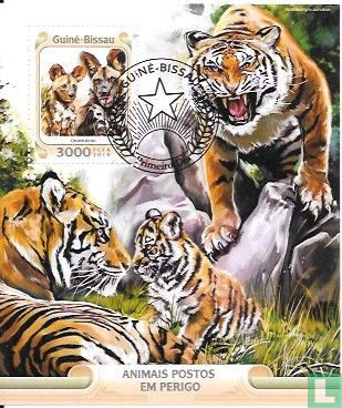 Hyena and Tigers