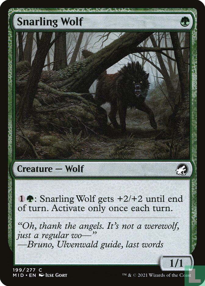 Snarling Wolf