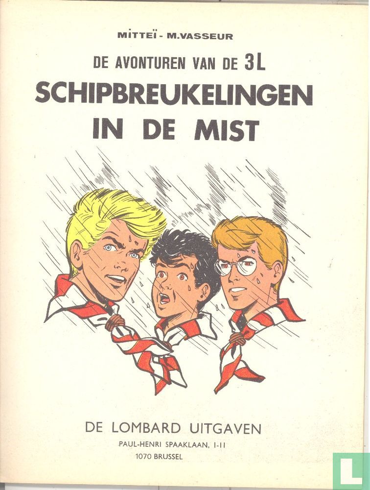 Schipbreukelingen in de mist