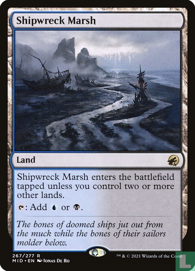 Shipwreck Marsh