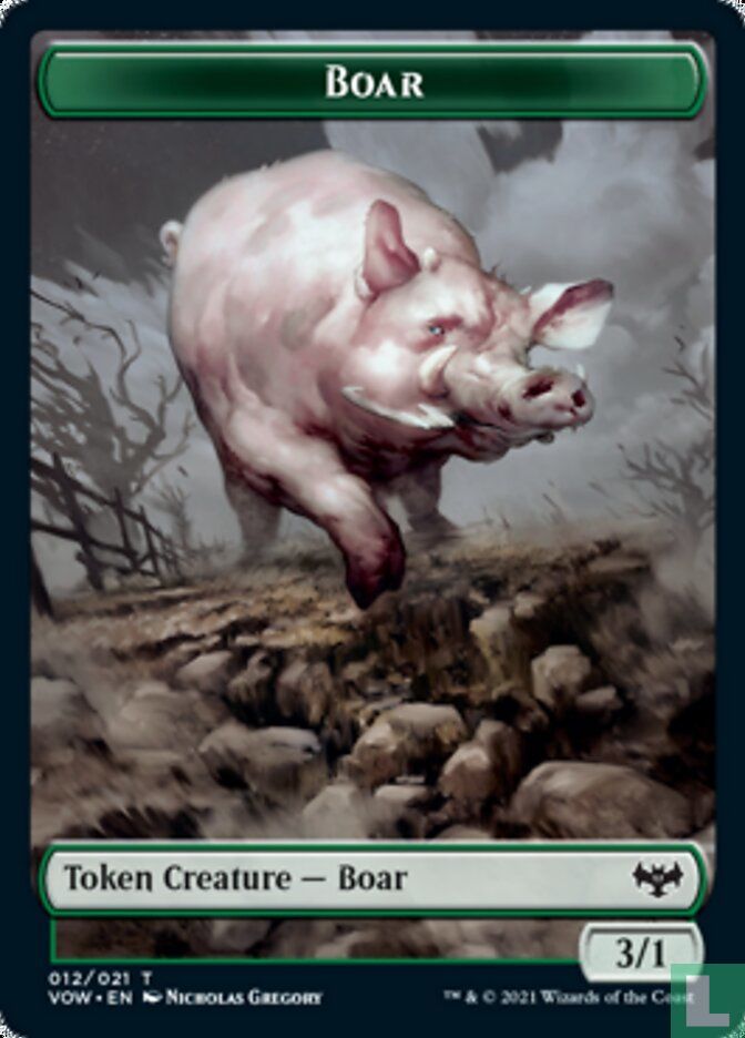 Boar