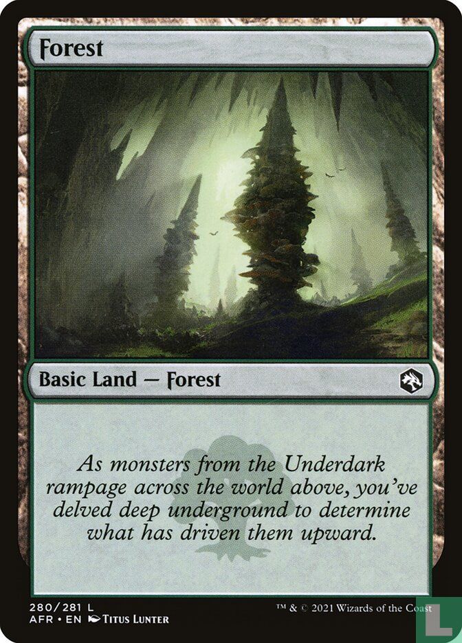 Forest