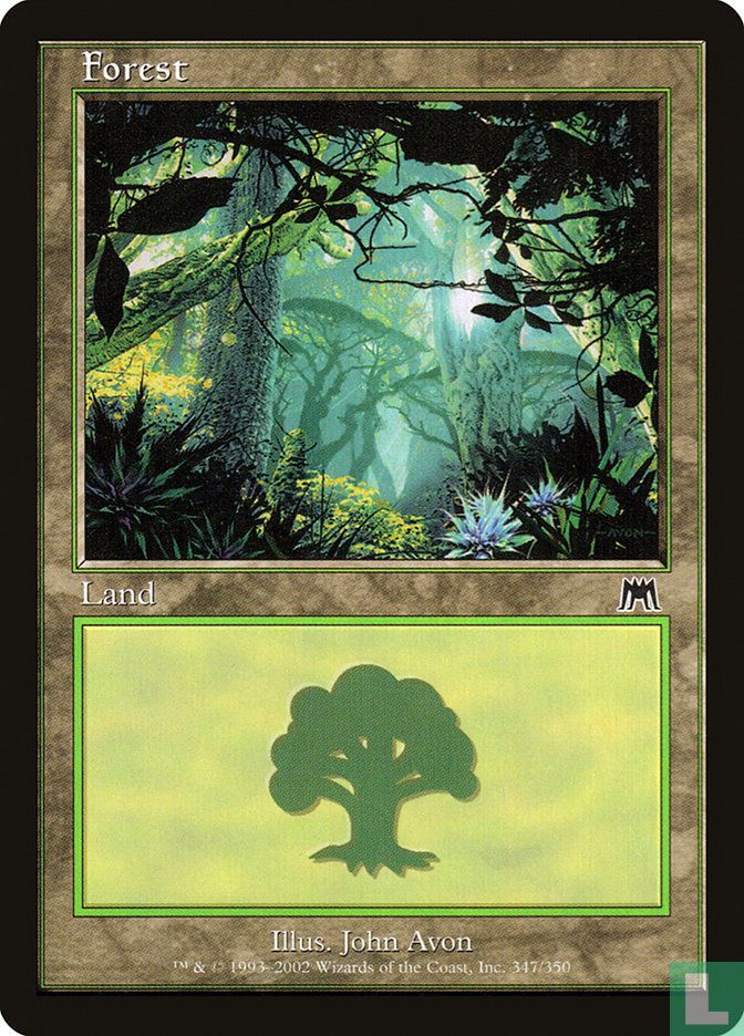 Forest