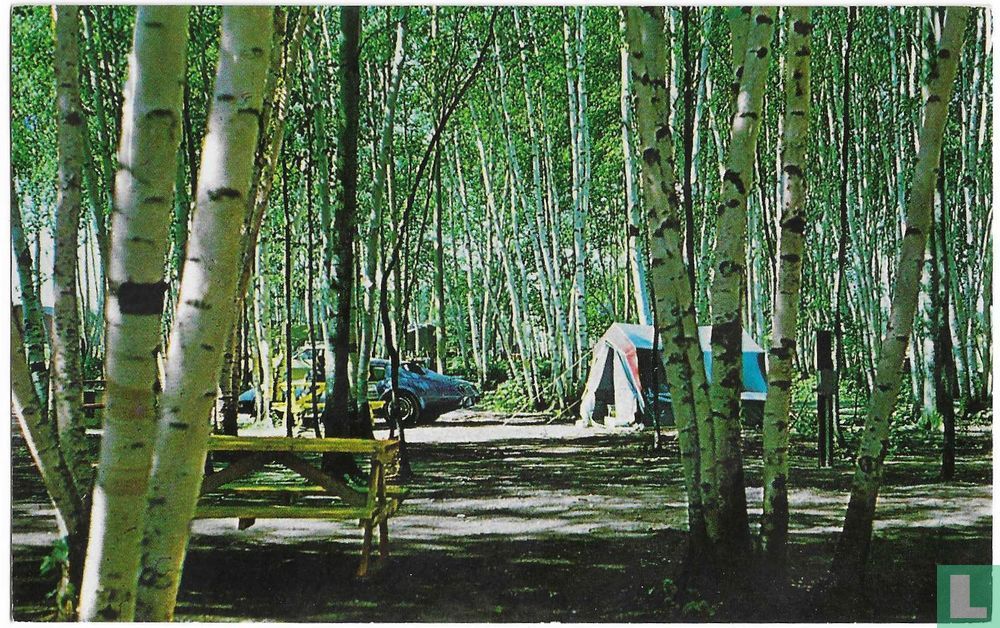 La Forêt Blanche