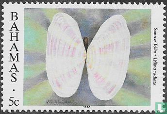 Mollusks - Echinoderms