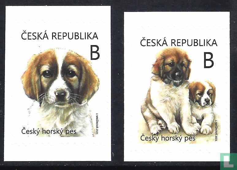 dog puppies