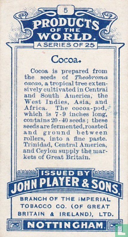 Gathering the Cocoa Beans