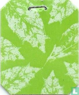 Verveine