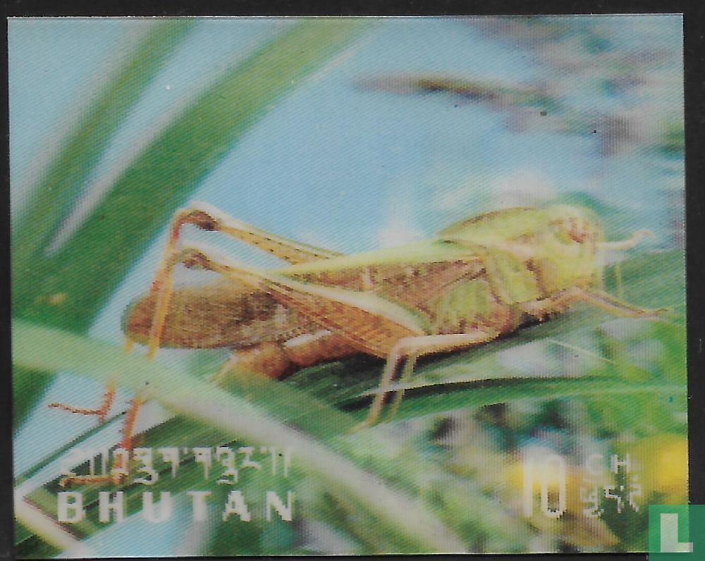 Insekten