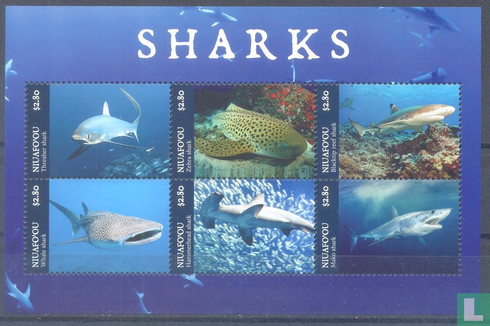Requins