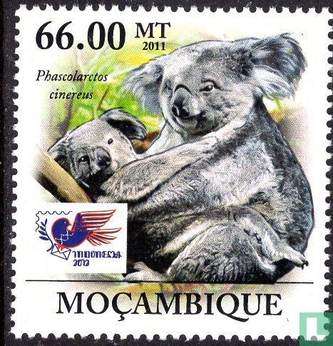 Koala