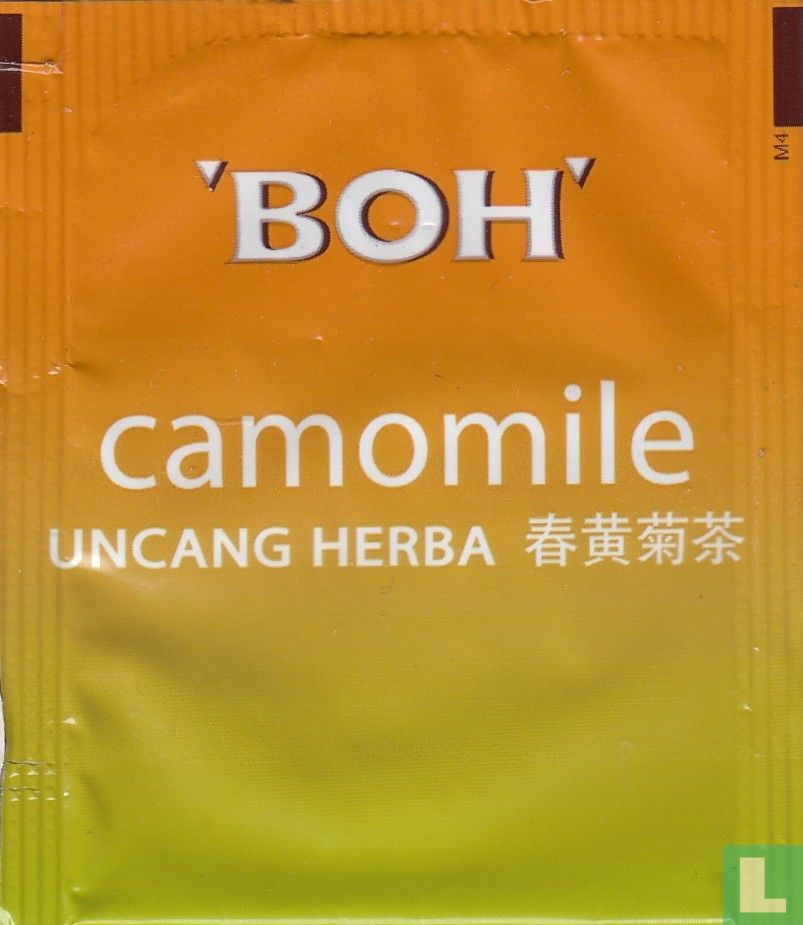 camomile 