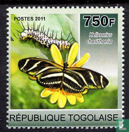 Butterflies