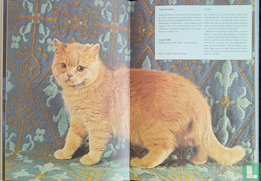 Het complete kattenboek