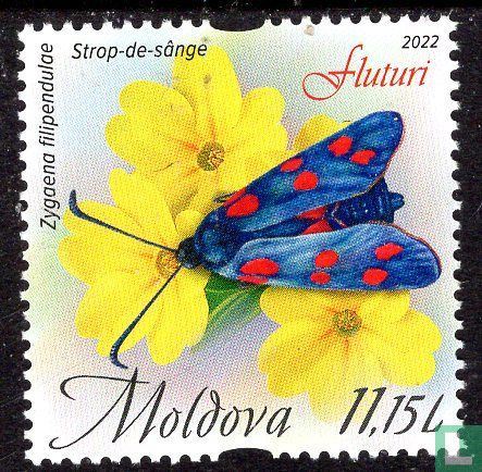 Butterflies