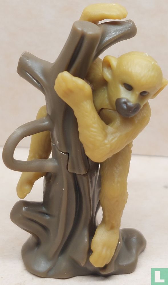 Monkey