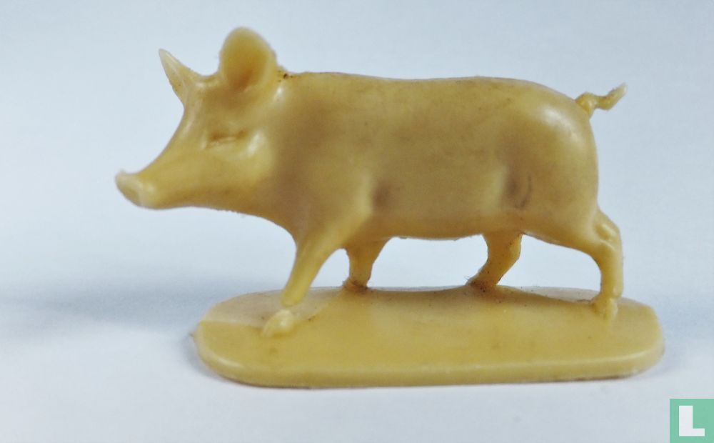 Schwein