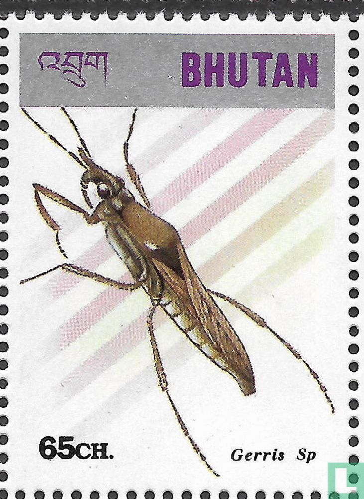 Insectes et araignées