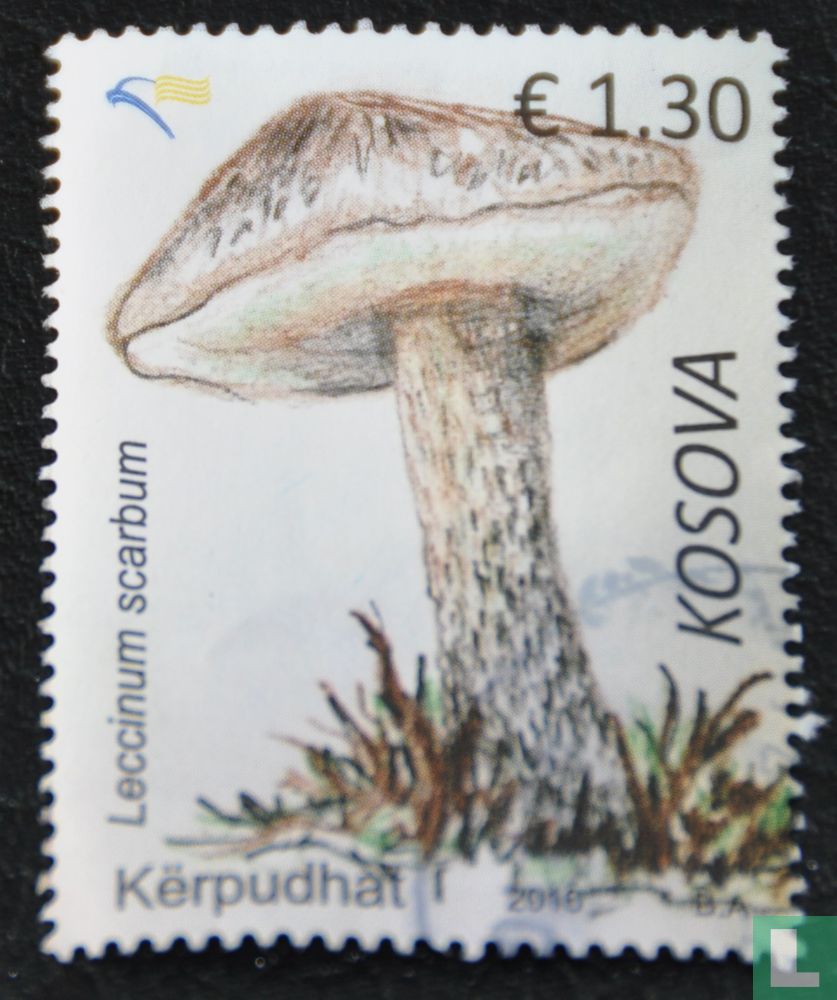 Champignons