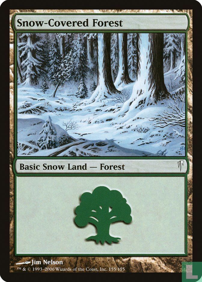 Snow-Covered Forest