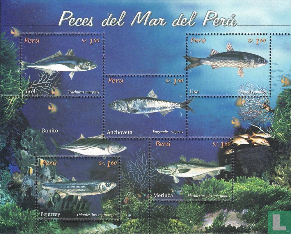 Types Of Fish In Peru Sea fish (2004) - Peru - LastDodo