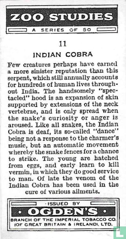 Indian Cobra
