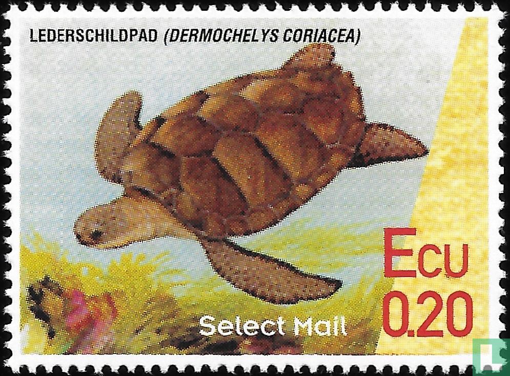 Lederschildpad