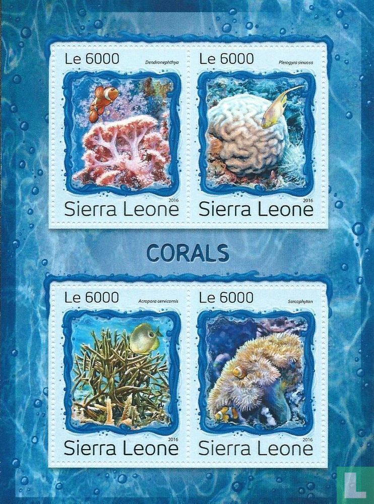 Korallen