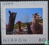 llamas