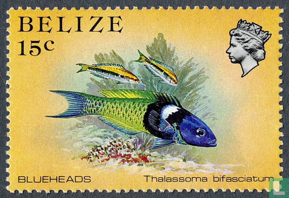 Poisson