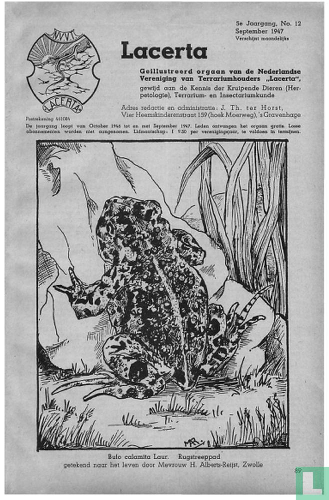 Lacerta 12