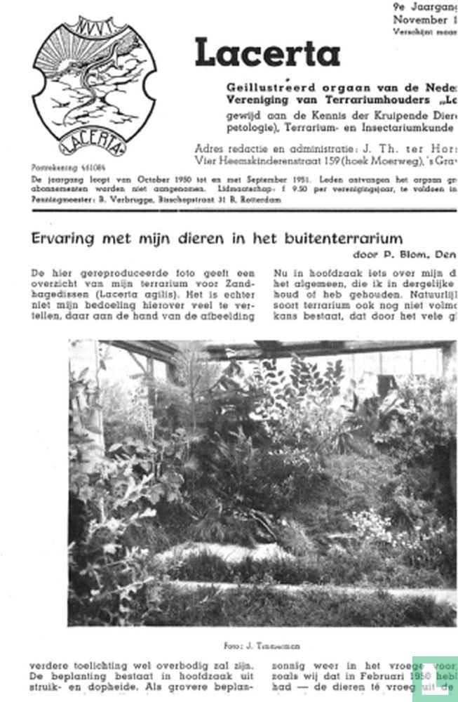 Lacerta 2 2 (1950) Lacerta LastDodo