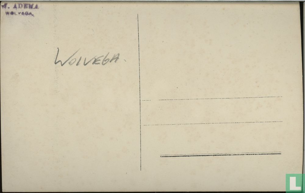 Wolvega, optocht